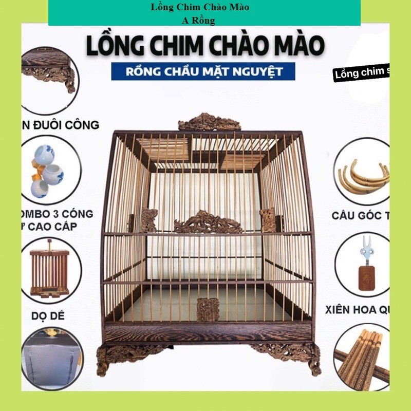 Self-assembled crested bird cage frame made of ebony peacock tail and ...