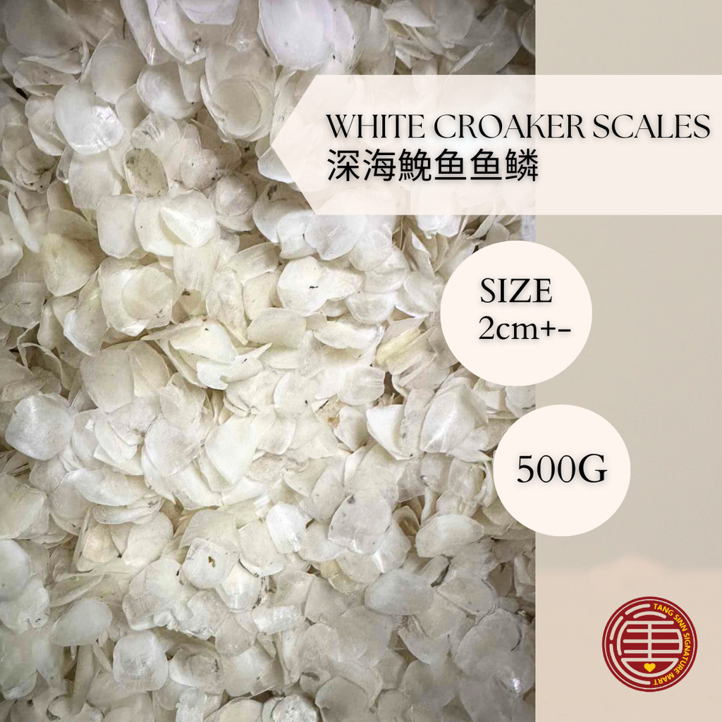 [500G] 深海鮸鱼鱼鳞片 White Croaker Scales (2cm+-) | Shopee Malaysia