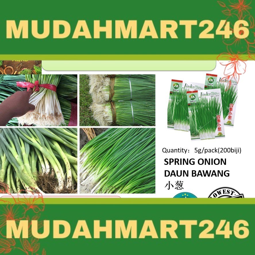 G5019 MUDAH MART 5g/pack(200biji) SPRING ONION DAUN BAWANG 小葱 vegetable ...