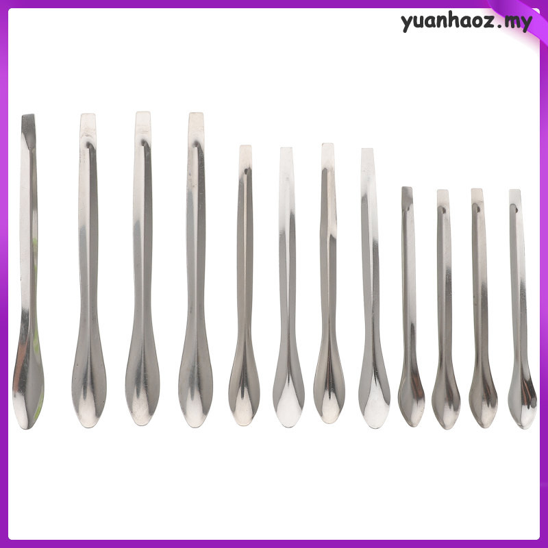 12 Pcs Tool Lab Mini Spoon Simple Measuring Stainless Steel Scoop ...