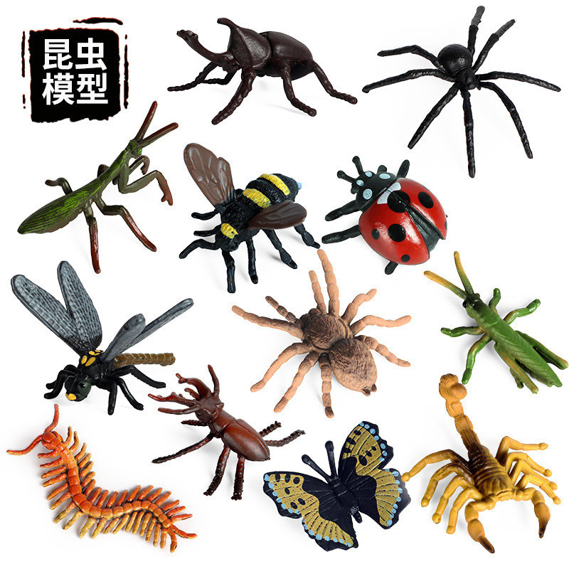 Children Simulation Wild Insect Animal Model Mini Butterfly Bee Spider ...