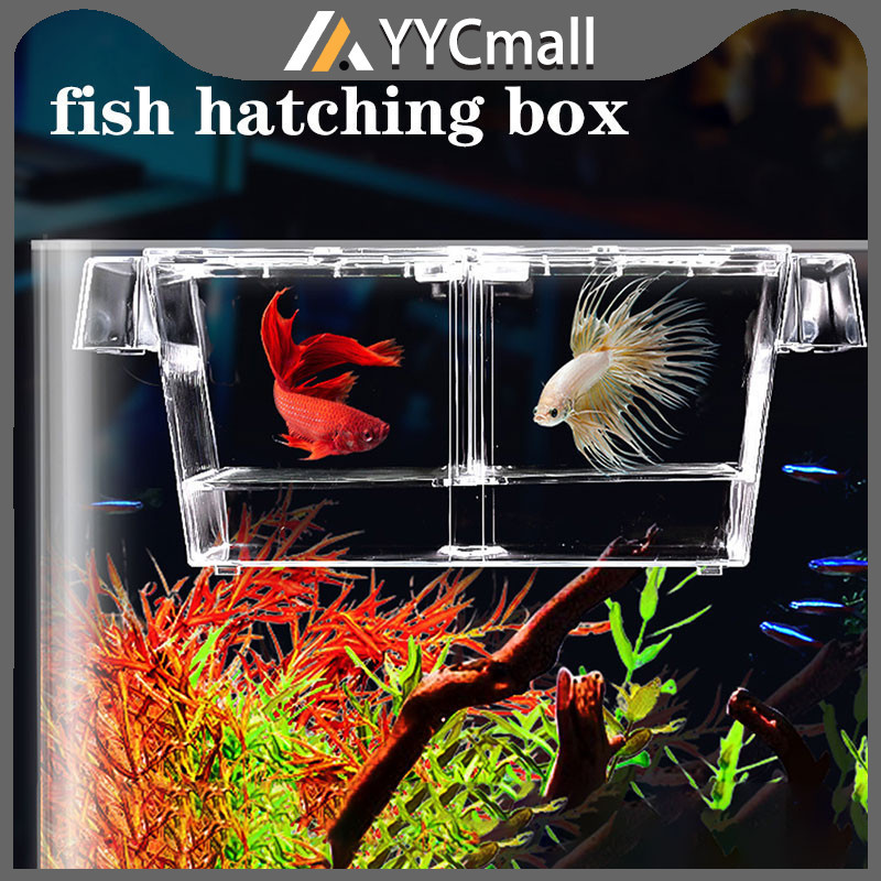 Mini Aquarium Tank Fish Breeding Isolation Box Fish Hatching Box ...