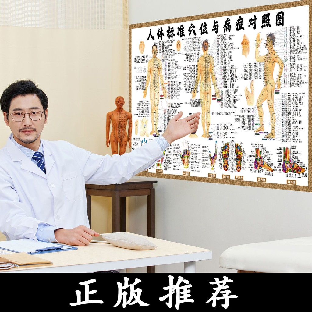 Human Acupoint Map Color Map Version Acupuncture Acupuncture ...