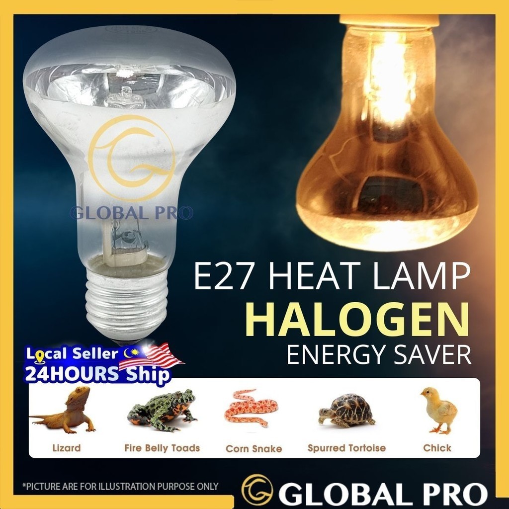 Energy efficient heat lamps for reptiles online