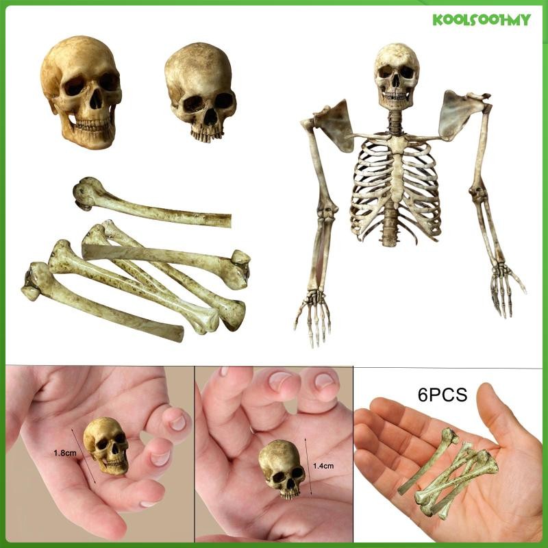 [KoolsoobdMY] 1/12 Miniature Human Skeleton Part Model Figurine ...