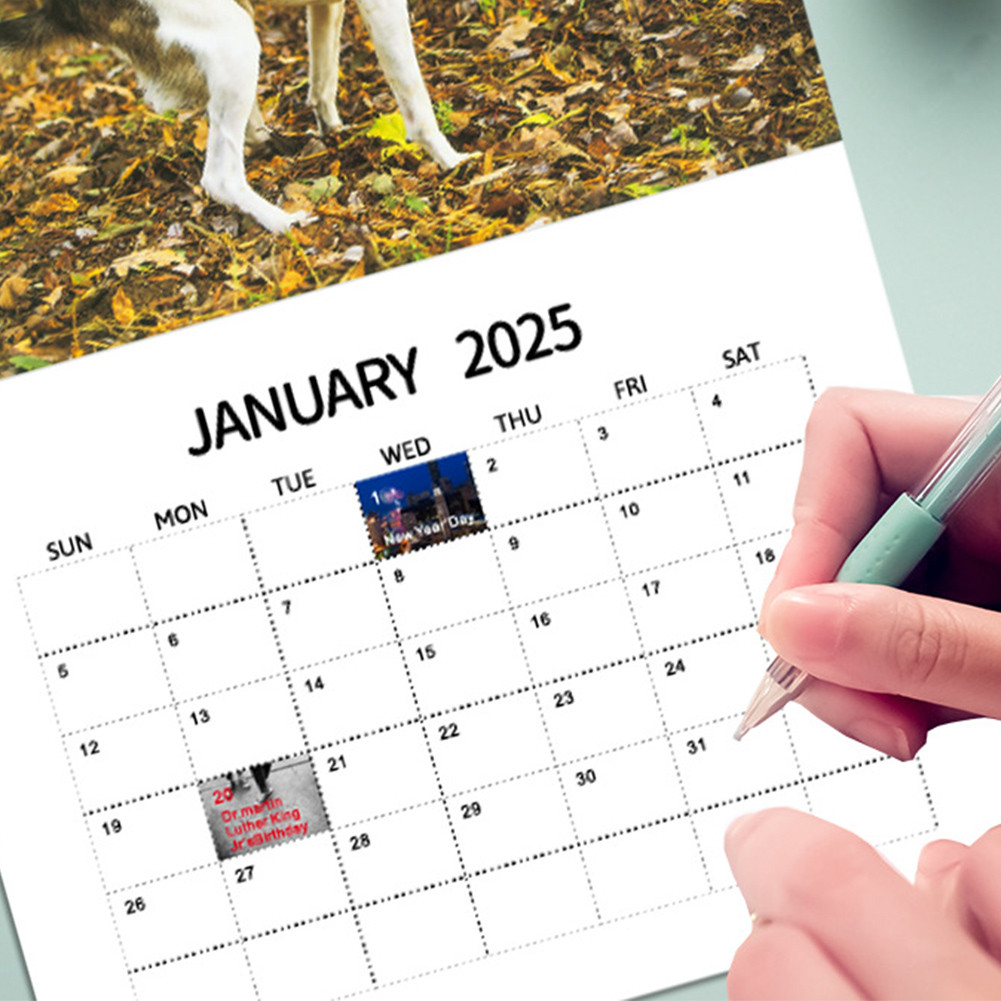 Dogs Pooping In Beautiful Places Calendar 2025 Monthly Planner 12 Month