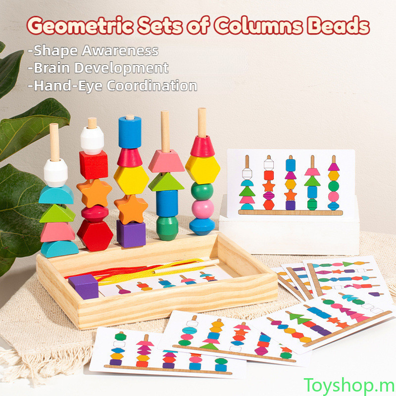 Montessori Wooden Puzzle Toys Color Shape Matching Puzzle Game Colorful ...
