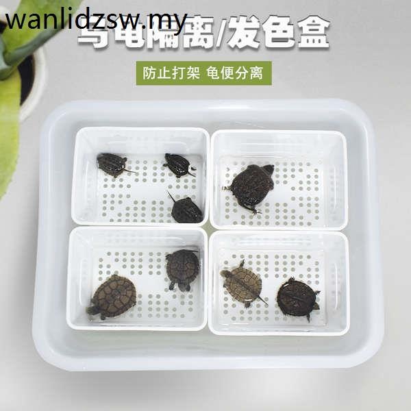 Turtle Isolation Breeding Box Black White Snapping Turtle Razor Hair ...