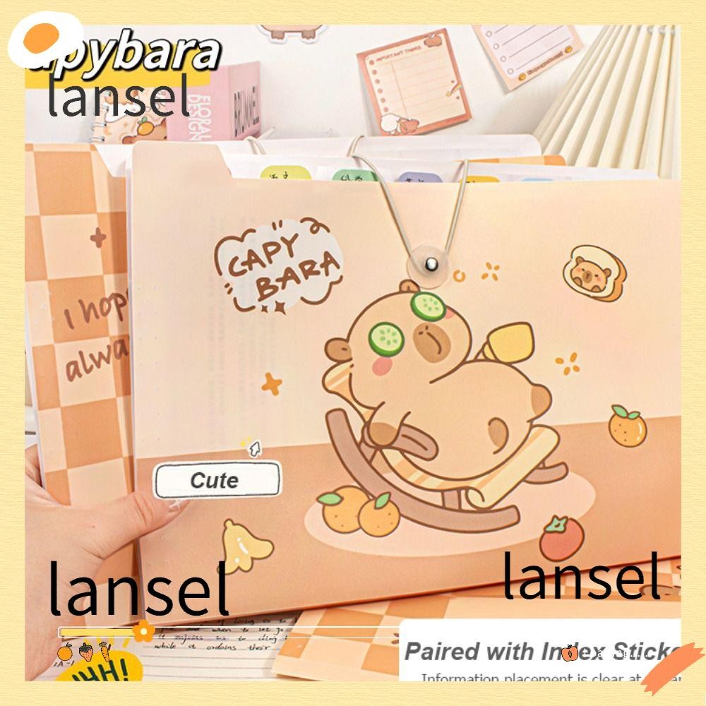 LA A4 File Folder, Capybara Creative Test Paper Storage Folder, Cartoon ...
