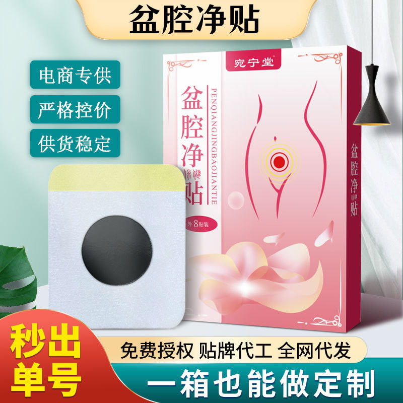 New Product#Pelvic Cavity Net Pain Relieving Plaster Women Postpartum ...