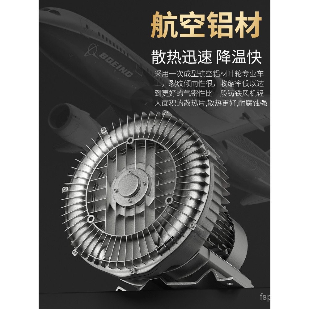 Storm Fortune High Pressure Vortex Fan Industrial Vacuum Pump Fish Pond ...