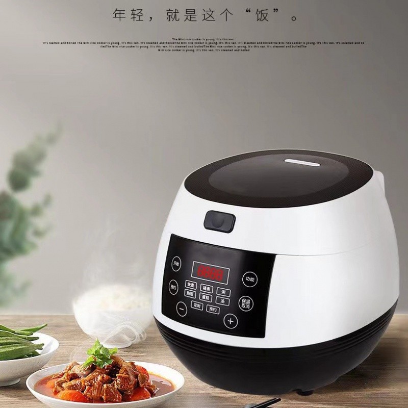 110v220v European Standard English rice cooker rice cooker rice cooker