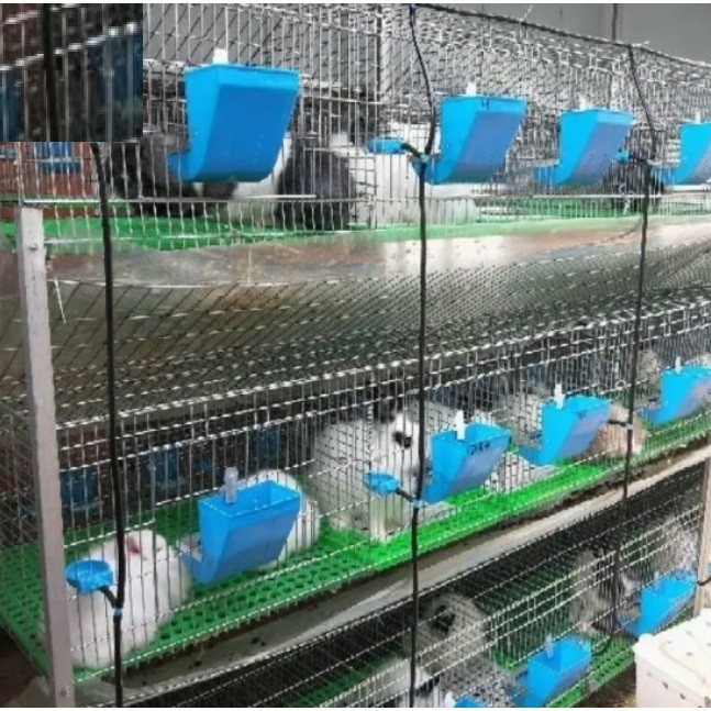 LARGE! 13cm Rabbit Feeding Bowl Rabbit Farm Feeder Rabbit Food Bowl ...