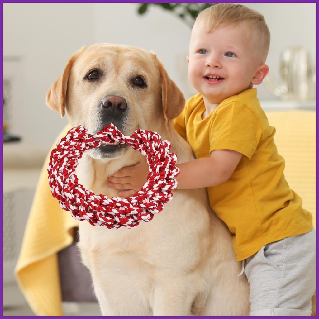 Dog Rope Toy Indestructible Dog Toy Indestructible Dog Rope Bite Toy ...