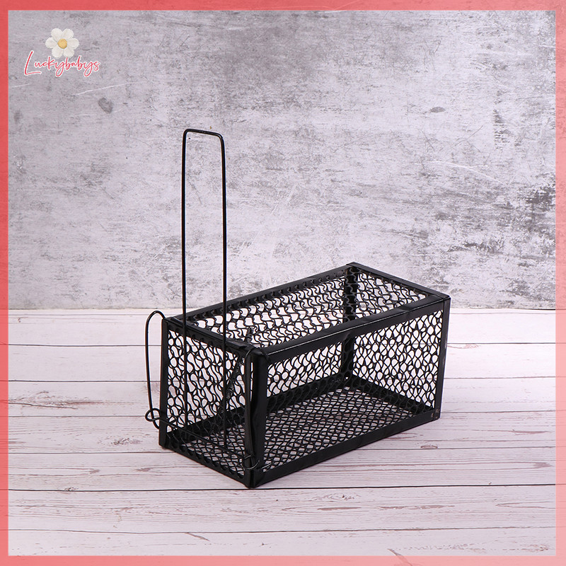 Luckybabys> Mice Trap Cage Rodents Trap Mouse Catcher Animal Control ...