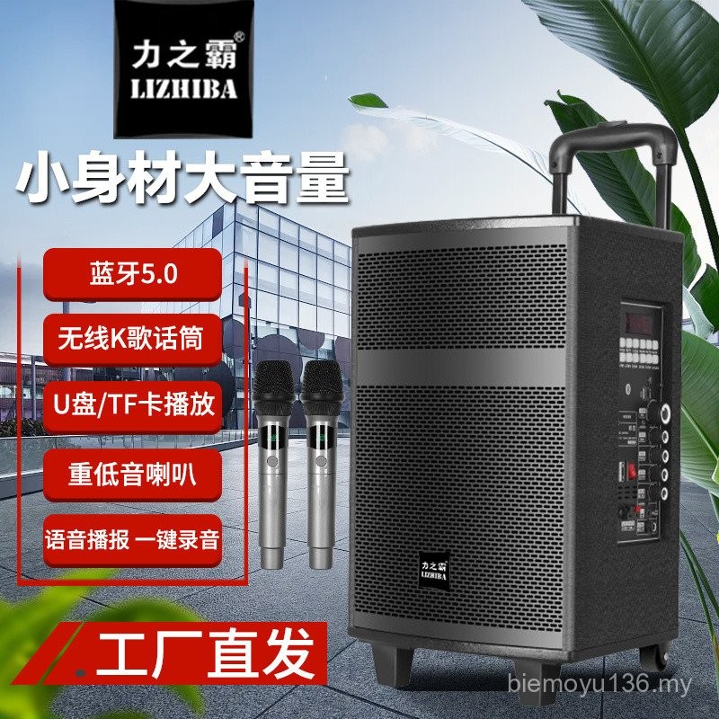 Lizhiba Outdoor Pull Rod Square Dance Audio Subwoofer Mobile Bluetooth