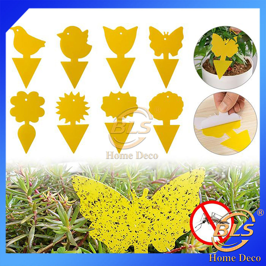 Multi Shape Fruit Fly Sticky Board Flying Insect Traps Papan Perangkap ...