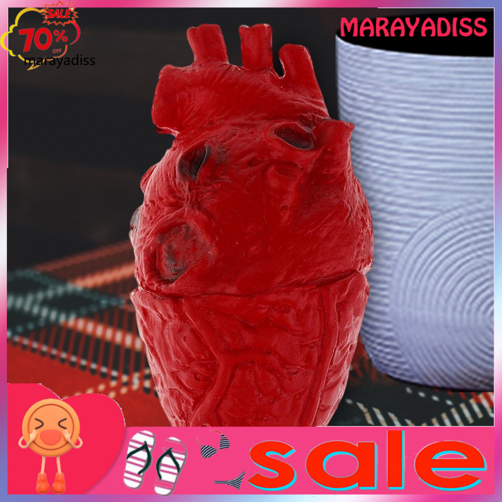Simulated Heart Prop Fake Heart Prop Realistic Fake Human Heart Model ...