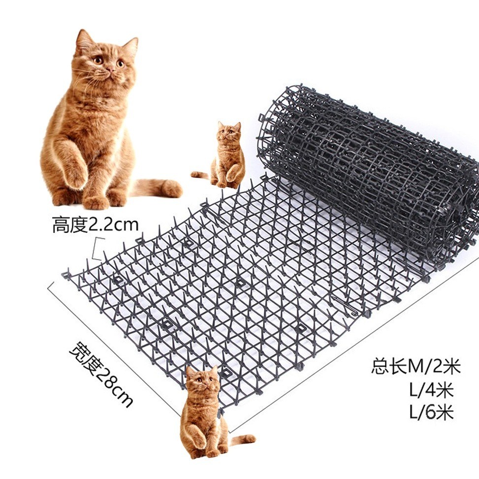 Drive Wild Cat Studs Isolation Forbidden Zone Drive Dog Bed AntiUrine