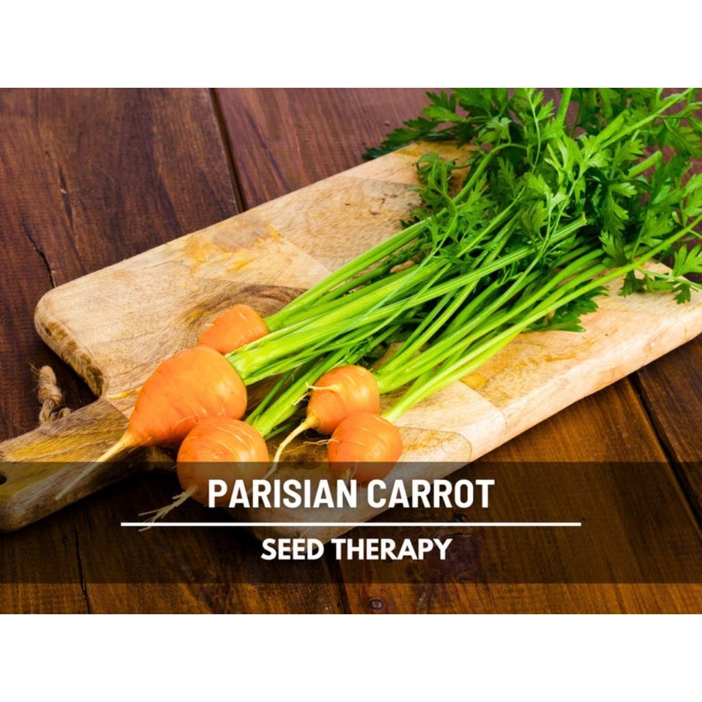 300+ Parisian Round Carrot Seeds - French Heirloom Vegetable - Organic, Easy To Grow Container Garden