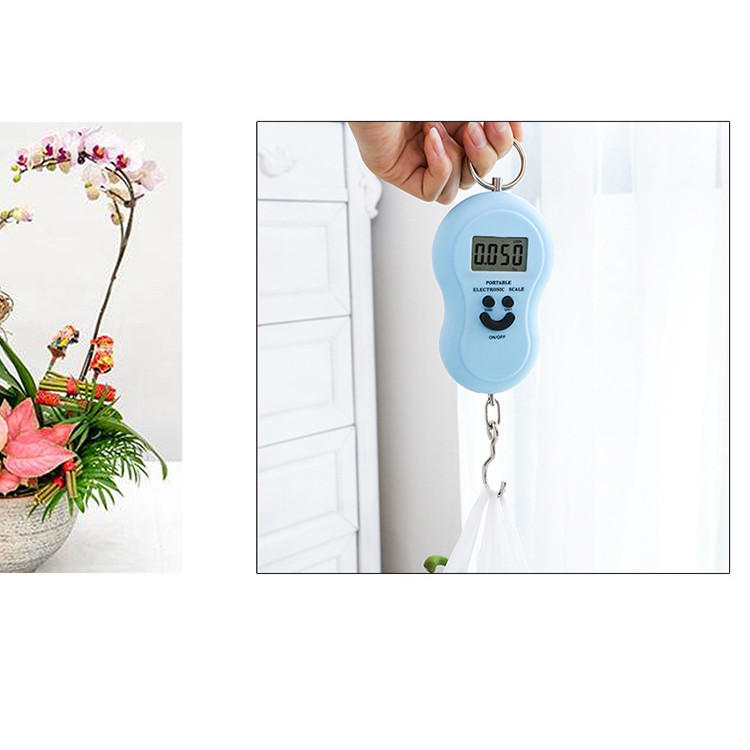 Handheld Electronic Portable Scale Gourd Portable Electronic Scale ...