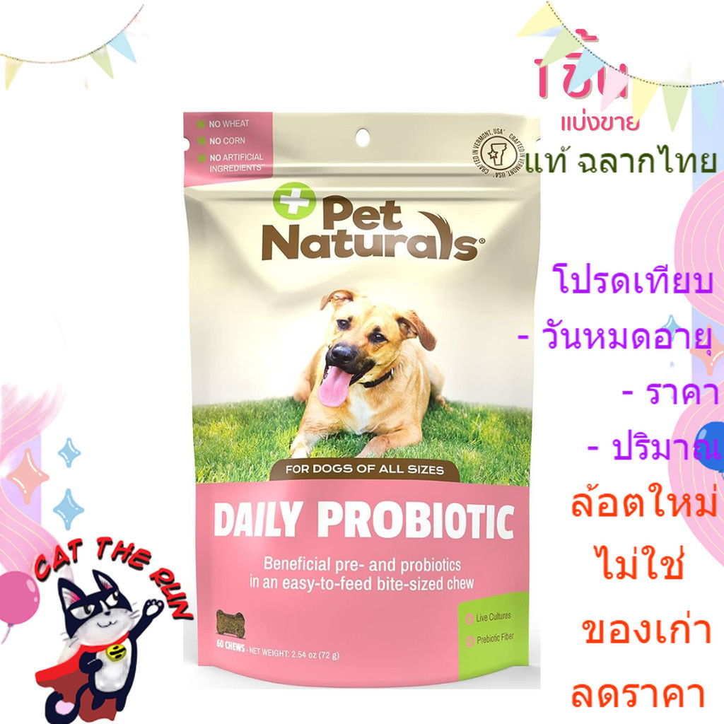 Curated visual reference: Fresh Look at Probiotic Probiotics Sold In 1 Piece Nourishes The Intestines