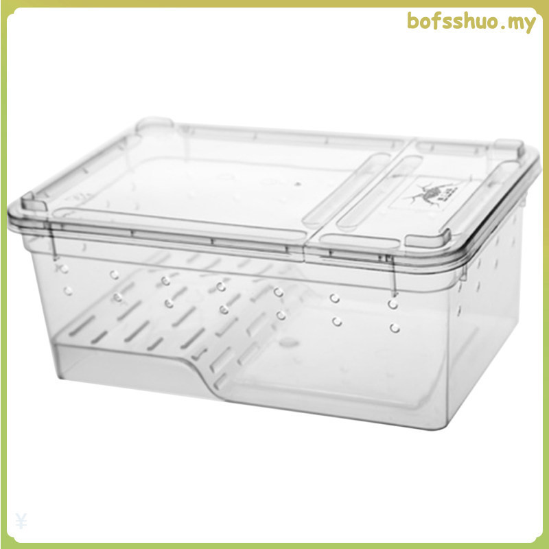 Amphibia Amphibian Feeding Box Reptisoil Turtle Breeding Tank Reptile ...