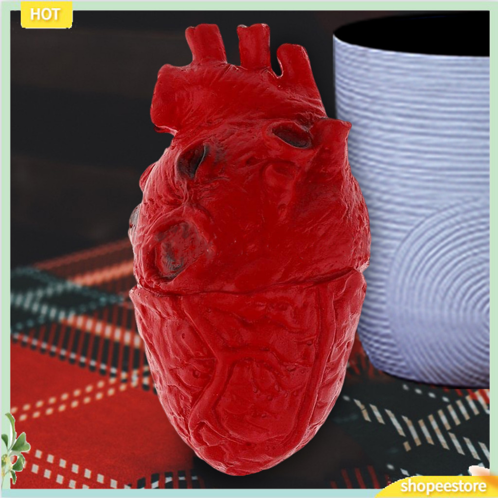 shopeestore| Fake Organ Prop Fake Heart Prop Realistic Fake Human Heart ...