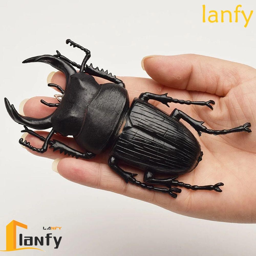 LANFY Simulation Beetle Trick Props Teaching Aids Insect Toy Fake ...