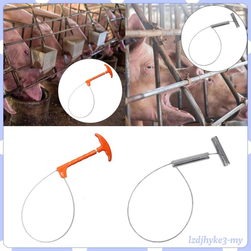 [READY STOCK] Pig Catcher Pole Animal Catcher Effective Handling ...
