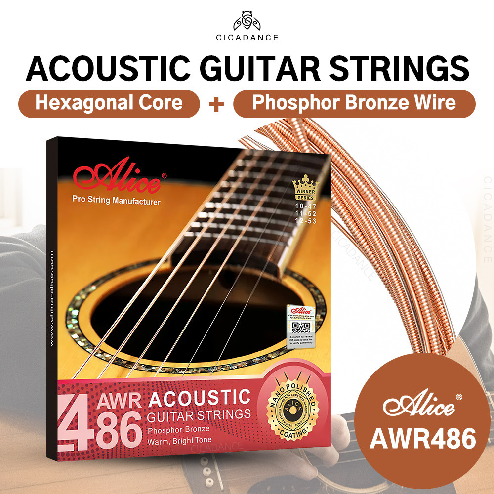 Alice Professional Acoustic Guitar Strings Phosphor Bronze Wire Anti ...