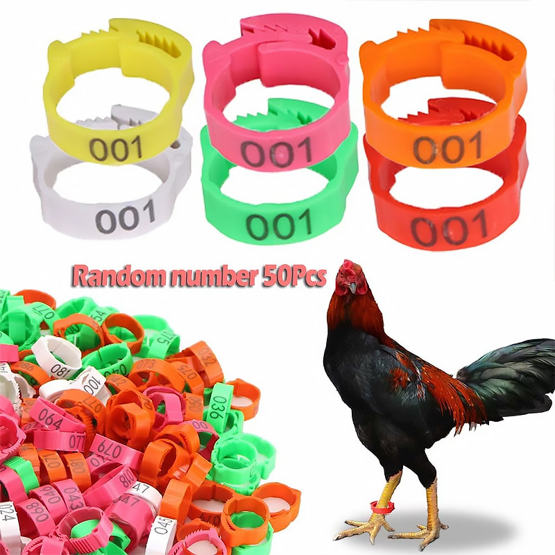 10/50Pcs Chicken Leg Band Ring Retractable Tag Chicken Multicolor ...