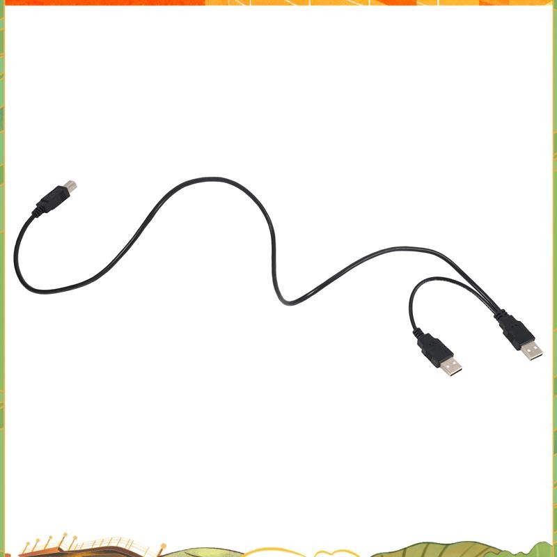 Yehengh dual usb 2 0 male to standard b male y cable 80cm for printer