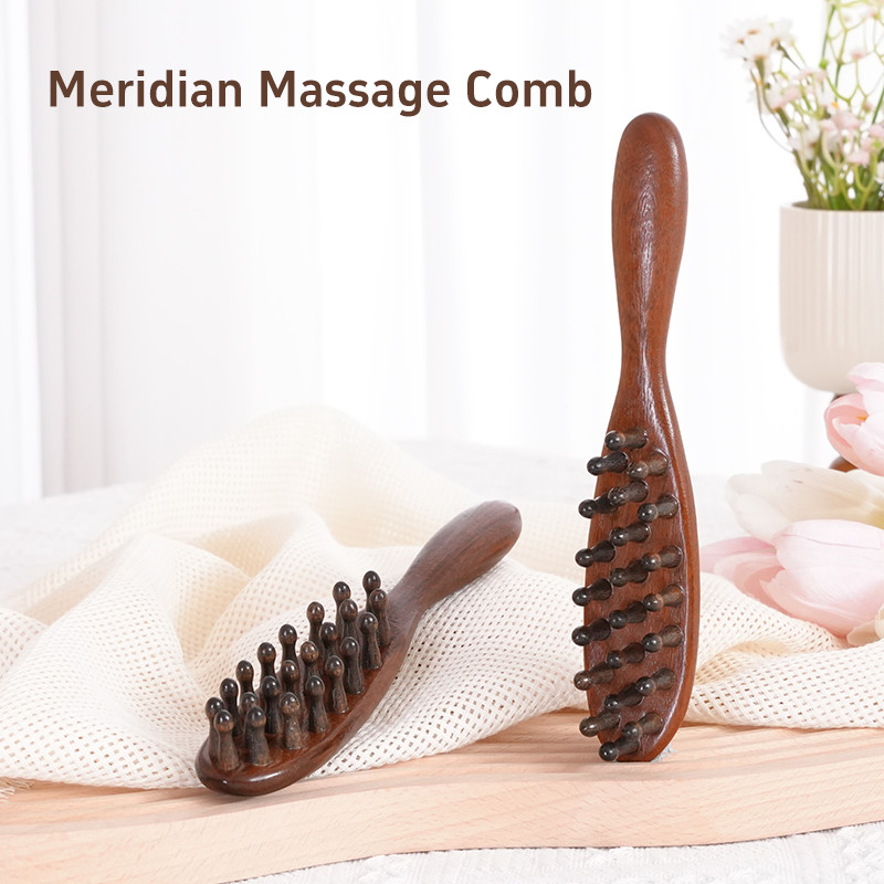 Head Scalp Meridian Comb Long Handle Body Comb Multifunctional Insert ...