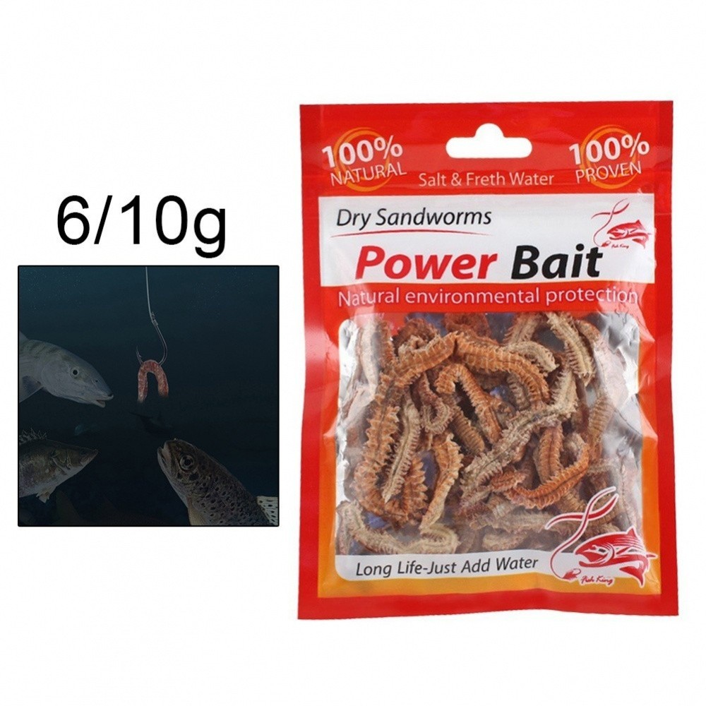 Useful Reliable Top Sale Hot Sale Dry Sandworm Fishy Natural Sandworm 6 ...