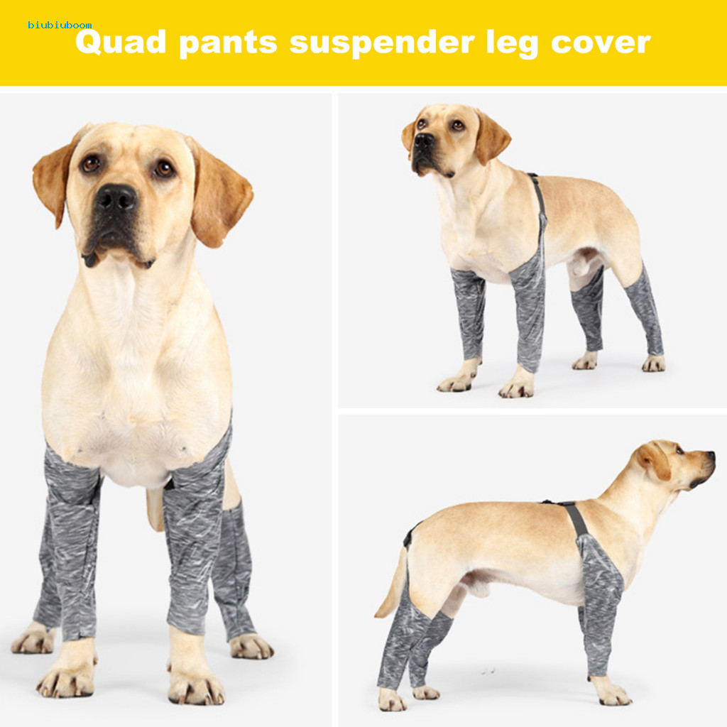 BIU Dog Wound Cover Pet Leg Bandage Waterproof Dog Leg Sleeves for Surgery Recovery Washable Dog Leggings to Prevent Licking Front Back Leg Protector for Dogs Southeast Asian Shopee Malaysia