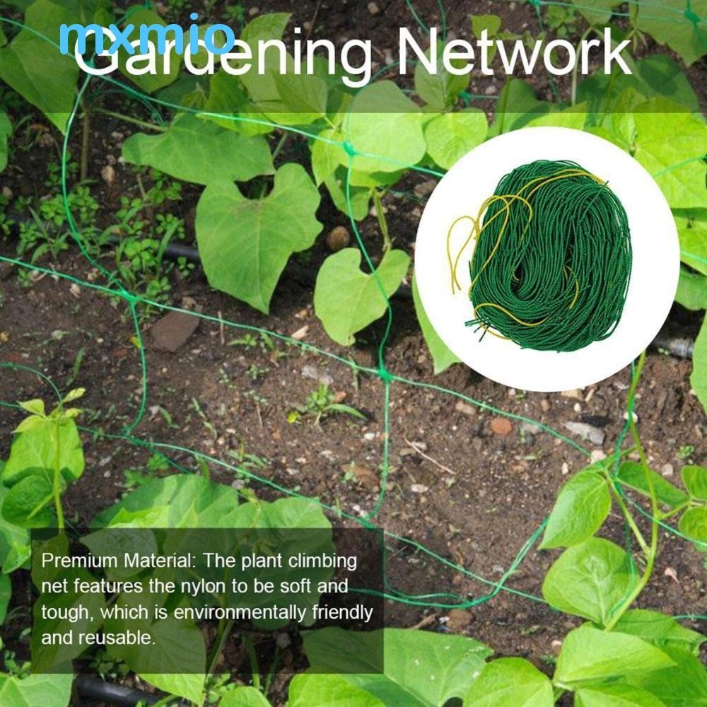 MXMIO Climbing Net 4 Sizes Morning Glory Vine Plant Cucumber Melon ...