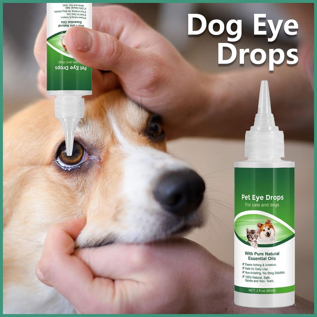 Cat Eye Drops 60ml Pet Tear Stain Remover Dog Eye Drops Effective ...