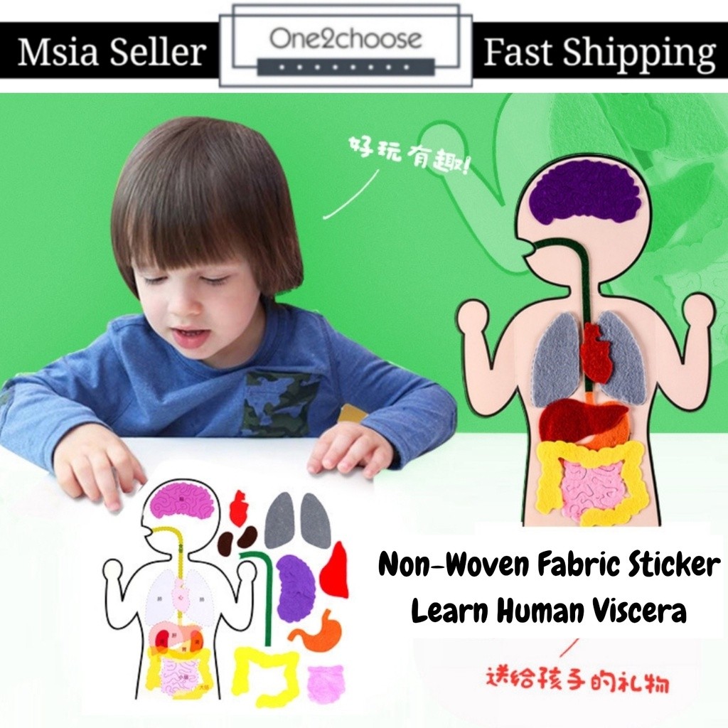 Kids Montessori 3D Puzzle Non Woven Human Body Model Learning Internal ...