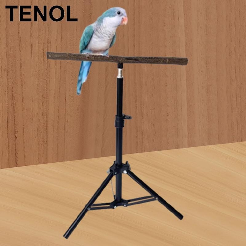 TENOL Wooden Parrot Perch Pet Bird Supplies Multifunction Stable Bird ...