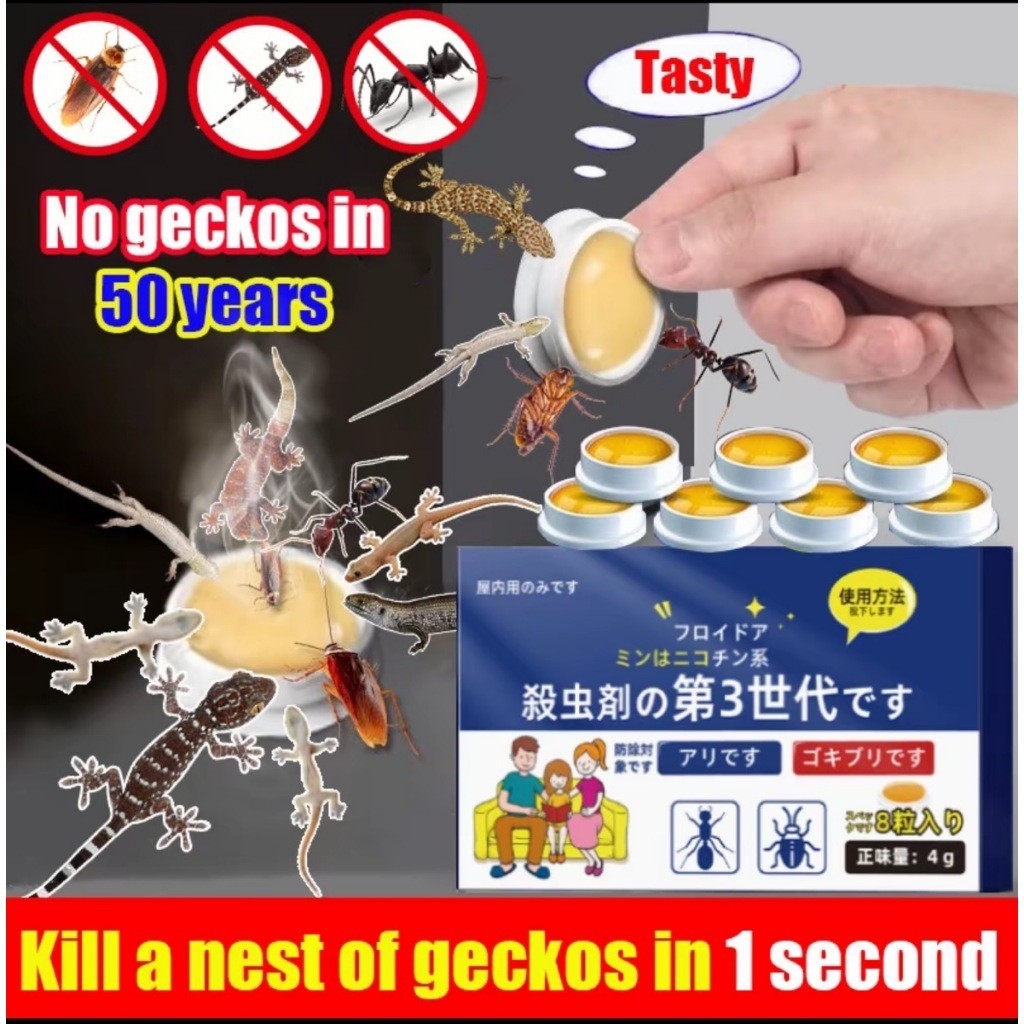 Lizard Dies & Air-dries After Eating Lizard Killer 8Pcs/BoxLizard ...