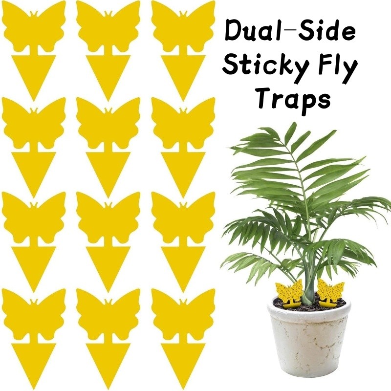 Double Sided Yellow Sticky Board Fruit Fly Trap Indoor Plants Mosquito ...