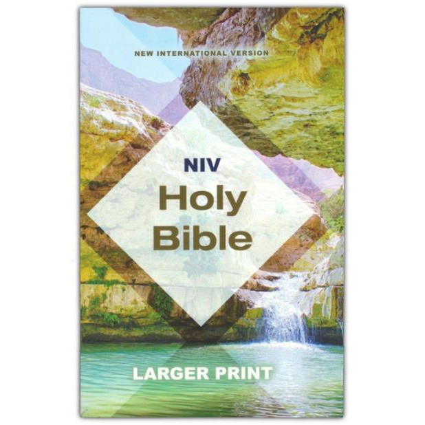 NIV - Holy Bible, Larger Print, Economy Edition, Teal/Tan, Paperback ...