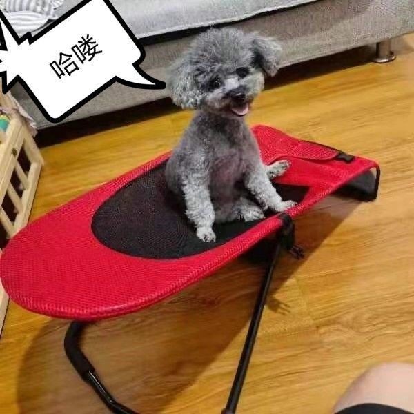 Pet Rocking Chair Influencer Pet Rocking Chair Bed Foldable Teddy Hairy ...