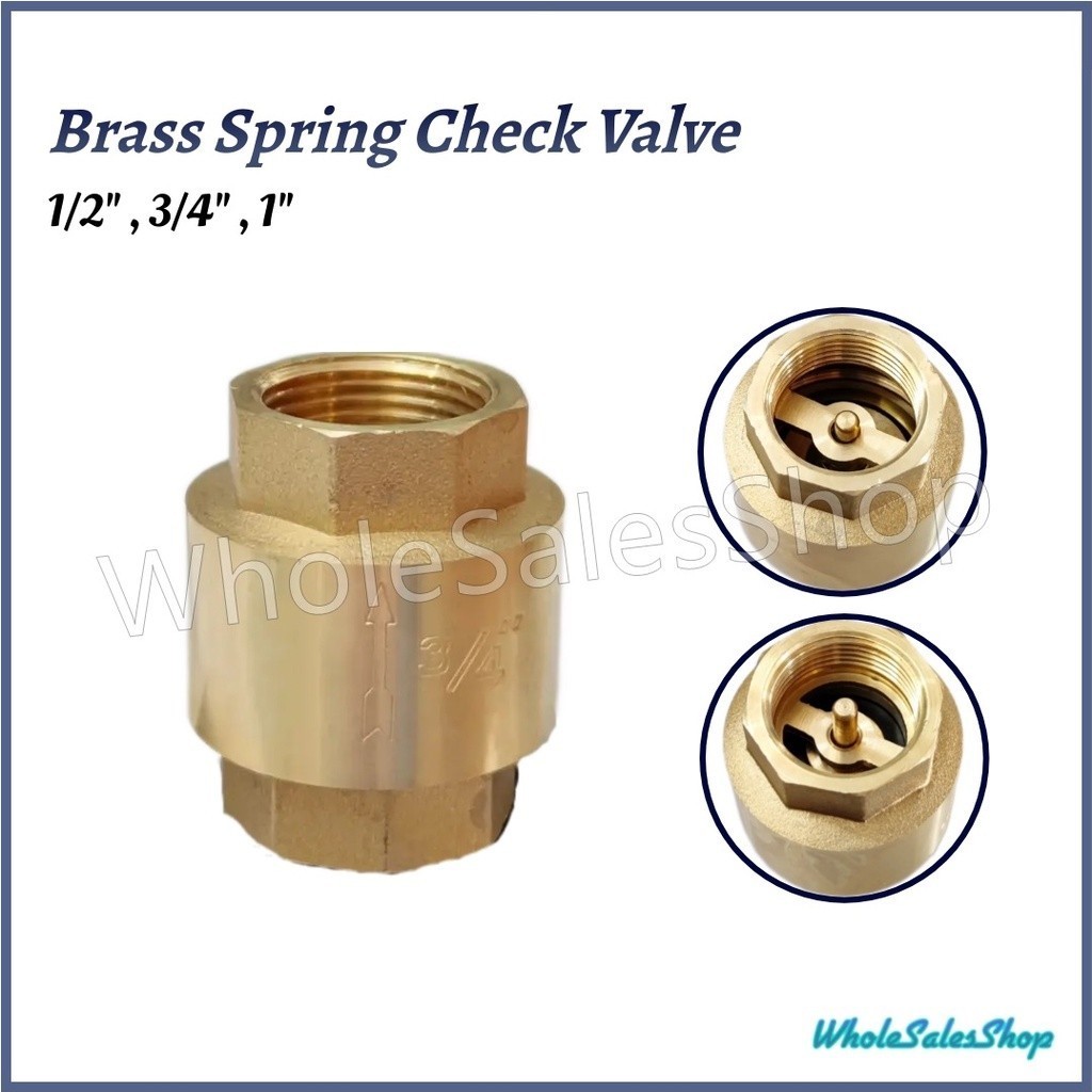 Brass Spring Check Valve Non Return Valve 1 Way Valve Periksa Injap 止回阀 ...