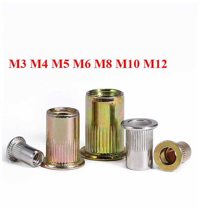 [FGHYX-1] 304 Stainless Steel Rivet Nut Color Zinc Flat Head Pull Nut ...