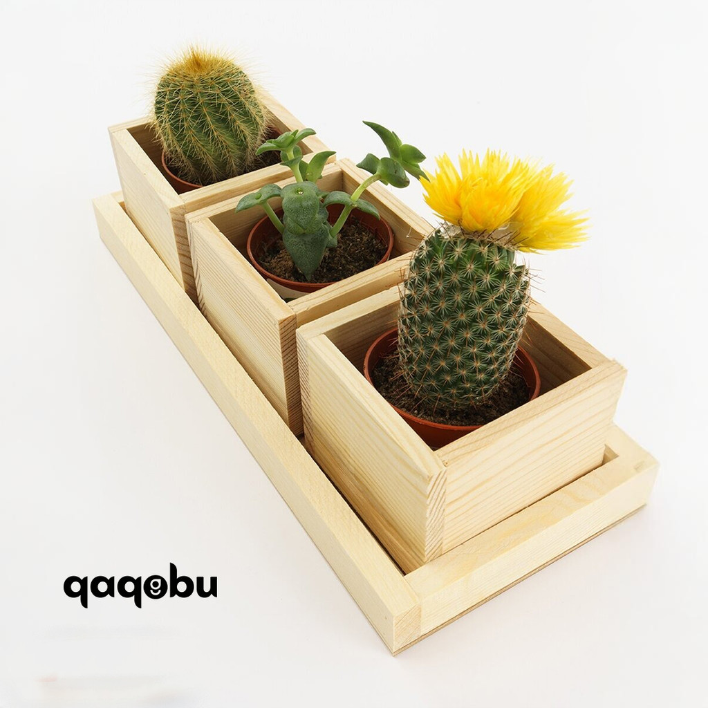 KAYU Set of 4 Blocks BOX Solid Wood BOX Package Wooden BOX Pine Wood ...