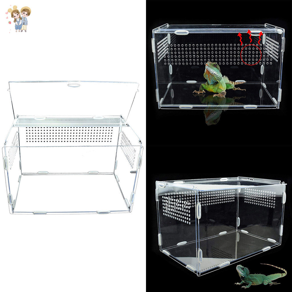 Reptilien Zuchtbox Aus Acryl - Transparente Futterbox Für Spinnen, Schlangen & Insekten