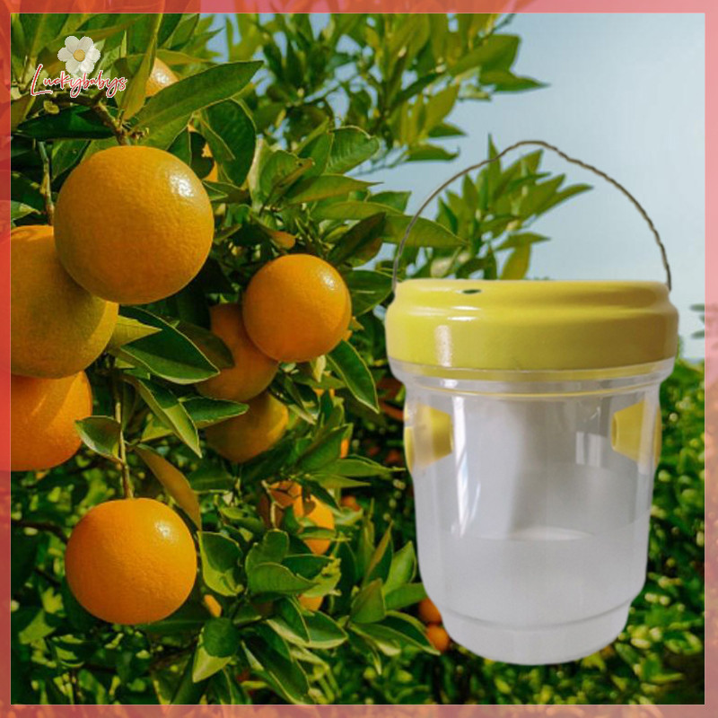 Luckybabys> Fruit Fly Trap Killer Yellow Plastic Drosophila Trap Anti ...