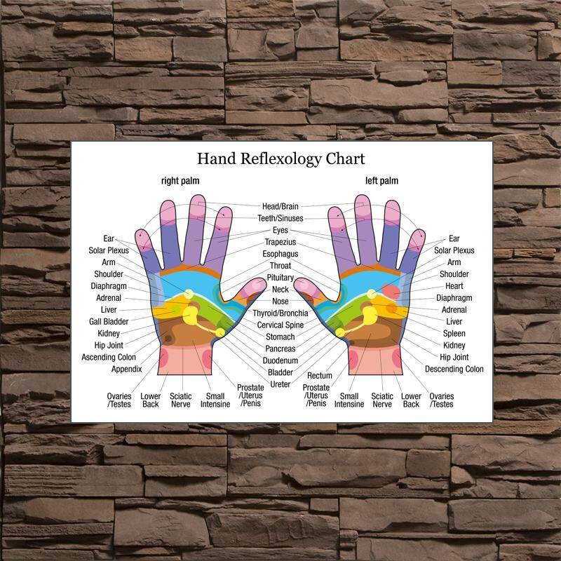 More Style Reflexology Labeled Hand Chart Holistic Health Large Colour ...